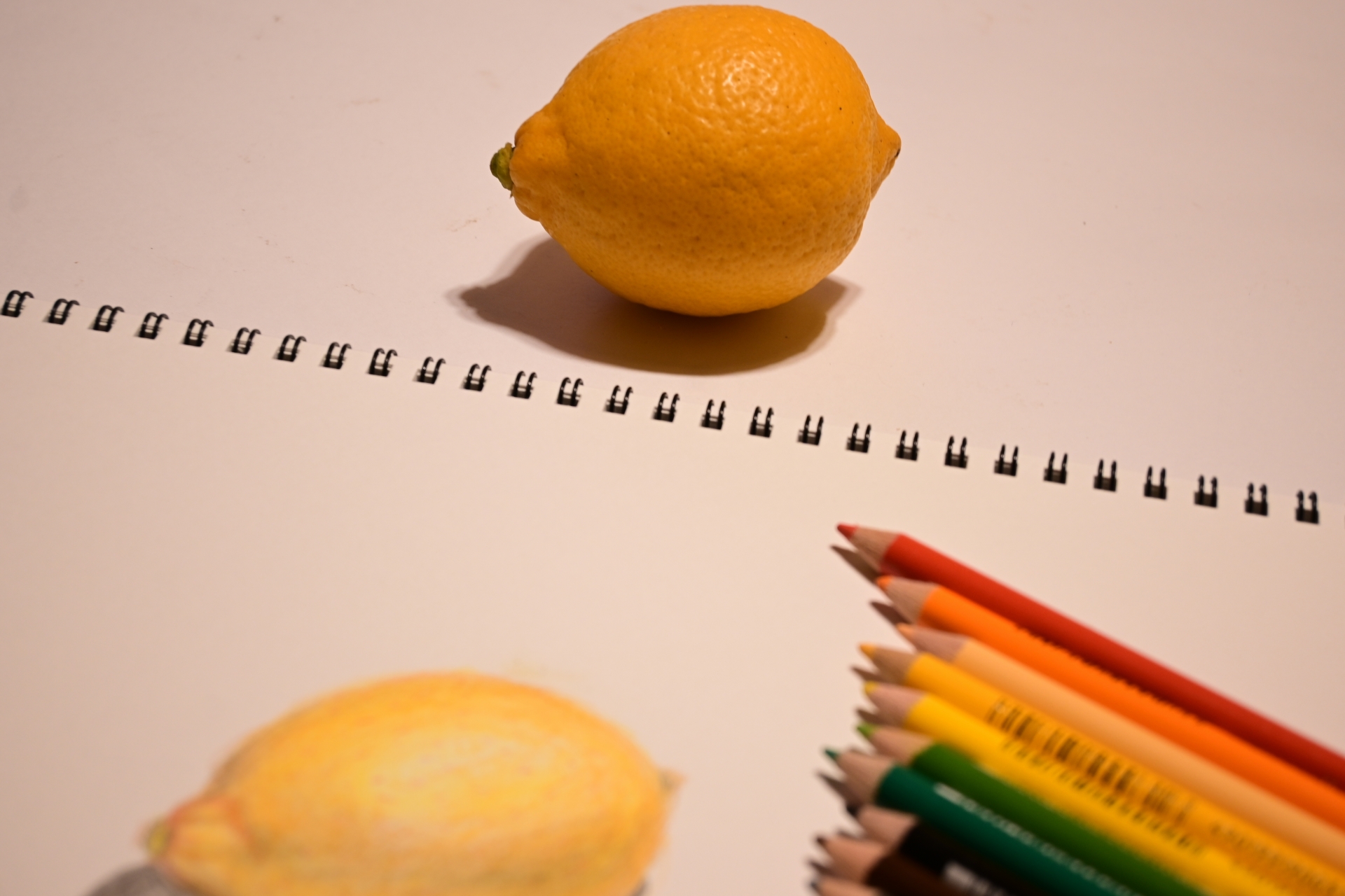 レモンのサンプルをデザインした写真